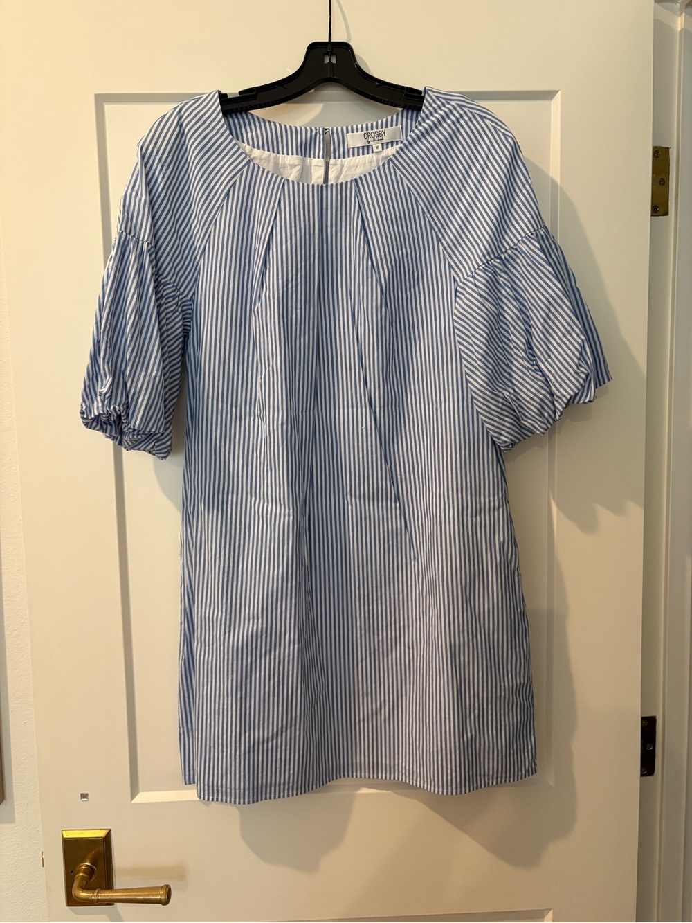 CROSBY by Mollie Burch Blue and White Striped Mini Dress